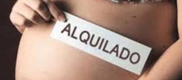 Nuevas normativas bebés de alquiler. Nuevas normativas bebés de alquiler.