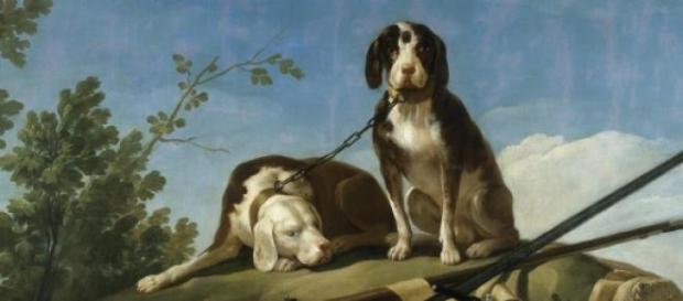 Perros cazadores abandonados Perros cazadores abandonados
