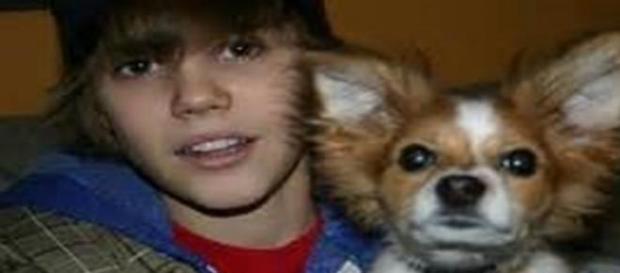 Justin Bieber junto a su mascota Sammy Justin Bieber junto a su mascota Sammy