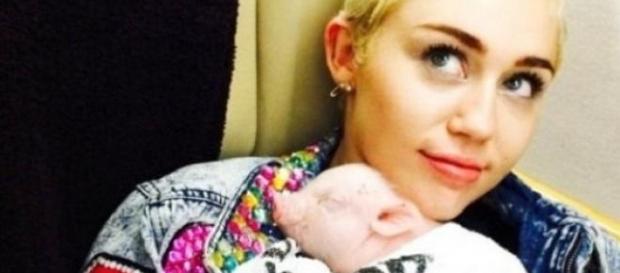 Miley Cyrus y sus seis mascotas. Miley Cyrus y sus seis mascotas.