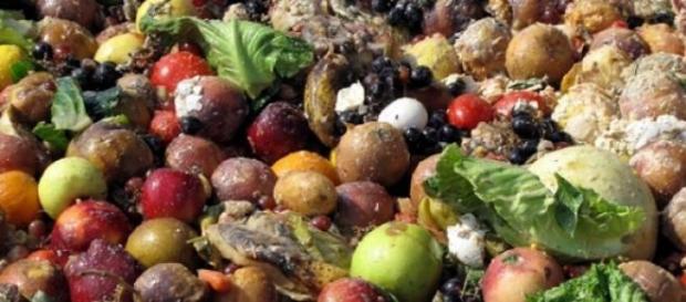 O desperdício de comida atinge o mundo todo O desperdício de comida atinge o mundo todo