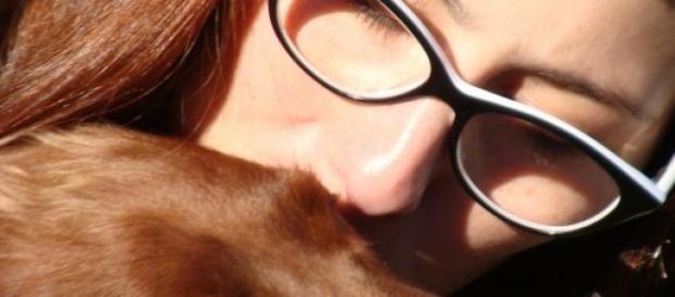 El consuelo incomparable de un perro El consuelo incomparable de un perro