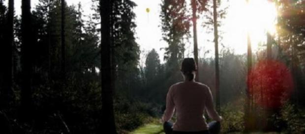 Set yourself free and open your heart. Set yourself free and open your heart.