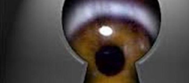 Si nascondeva dietro i buchi negli armadi Si nascondeva dietro i buchi negli armadi