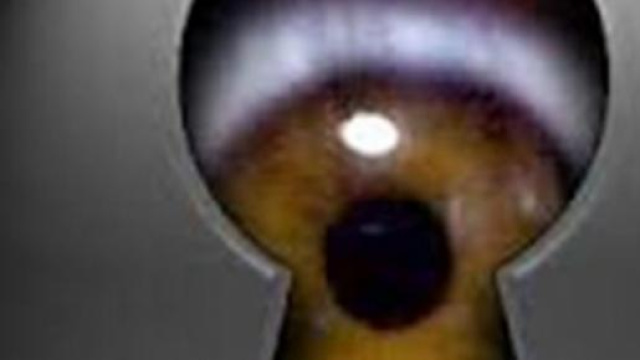 Si nascondeva dietro i buchi negli armadi