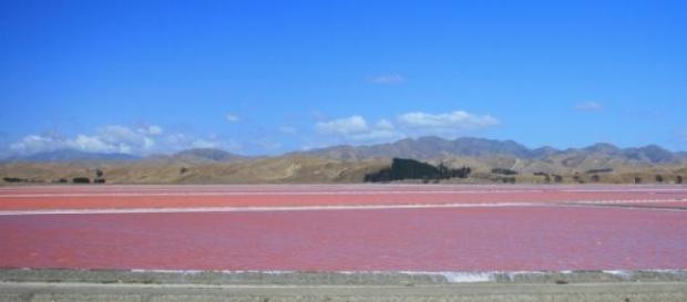 Lago rosa en Senegal, pariente del Hillier Lago rosa en Senegal, pariente del Hillier