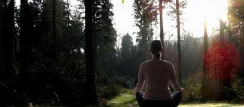 Woman meditating amongst nature
