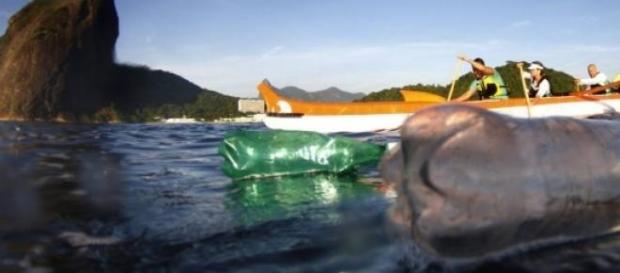Poluição está à vista na Baía de Guanabara Poluição está à vista na Baía de Guanabara