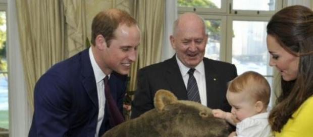William and Kate, new photos of prince George William and Kate, new photos of prince George