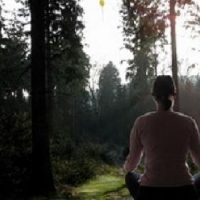 Woman meditating amongst nature