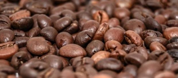 Estudo sobre café no Brasil Estudo sobre café no Brasil