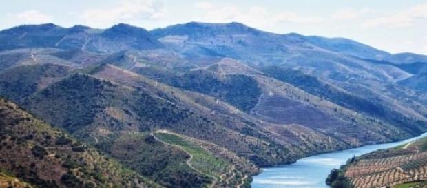 A beleza do Douro ganha reconhecimento lá fora. A beleza do Douro ganha reconhecimento lá fora.