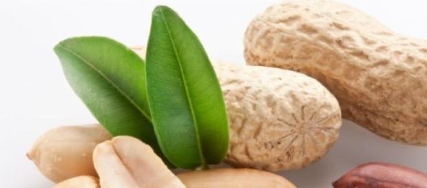 Cacahuate contienen hierro y vitaminas A y E Cacahuate contienen hierro y vitaminas A y E