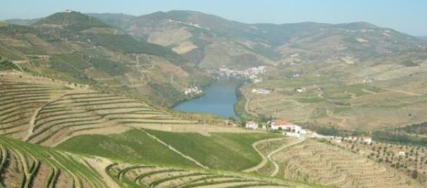 Douro tem os melhores vinhos do mundo Douro tem os melhores vinhos do mundo