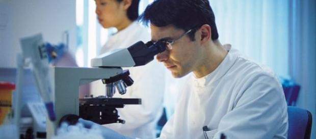 El estudio, en células de cáncer de pulmón El estudio, en células de cáncer de pulmón