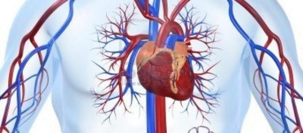 La extracción de plasma y los ataques al corazòn. La extracción de plasma y los ataques al corazòn.