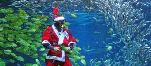 Natale 2014: Italiani quasi tutti a casa Natale 2014: Italiani quasi tutti a casa