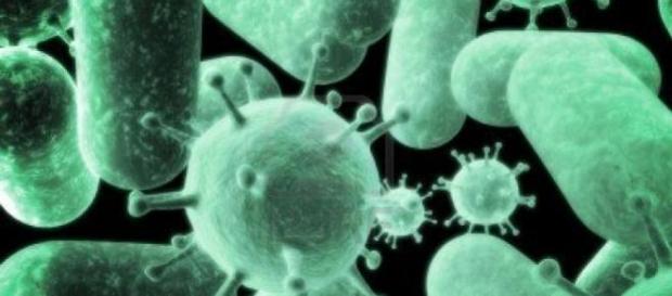 Se prevé que las bacterias se fortalezcan en 2050 Se prevé que las bacterias se fortalezcan en 2050