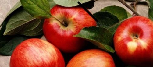 La manzana ayuda a la salud digestiva