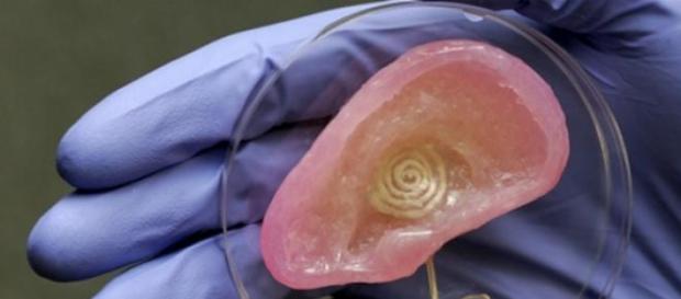 Primera oreja en 3D creada en España Primera oreja en 3D creada en España
