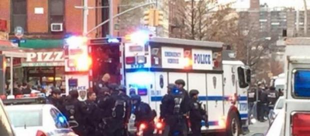Doble asesinato en Nueva York. Doble asesinato en Nueva York.