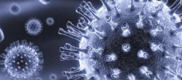 Nanopartículas para luchar contra tumores malignos Nanopartículas para luchar contra tumores malignos