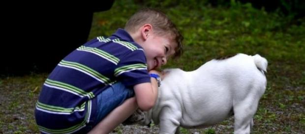 Saúde Humana e Animal: uma só? Saúde Humana e Animal: uma só?