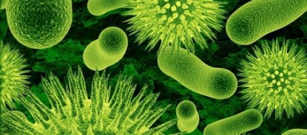 Vírus: partículas pequenas e microscópicas Vírus: partículas pequenas e microscópicas