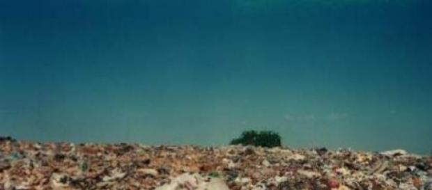 Discarica abusiva a Capramorta, località di Jonadi Discarica abusiva a Capramorta, località di Jonadi