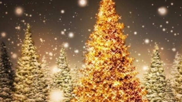 Ecco le frasi pi&ugrave; assurde e divertenti per Natale