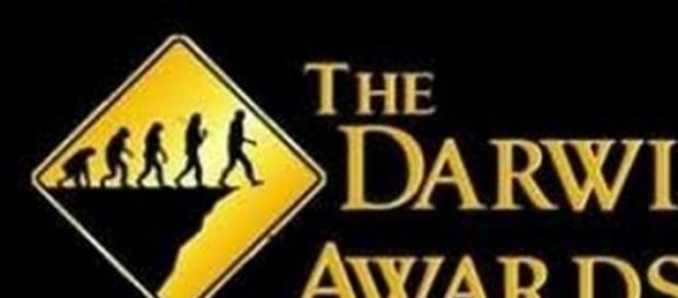 Algunos de los Premios Darwin 2014 Algunos de los Premios Darwin 2014