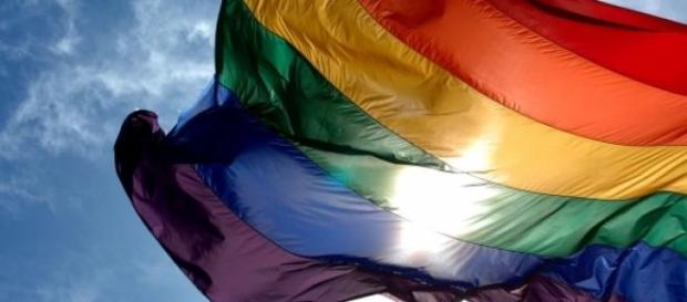 Picture of the LGBT community's Rainbow Flag Picture of the LGBT community's Rainbow Flag