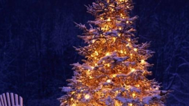 Tante dediche e romantiche per Natale