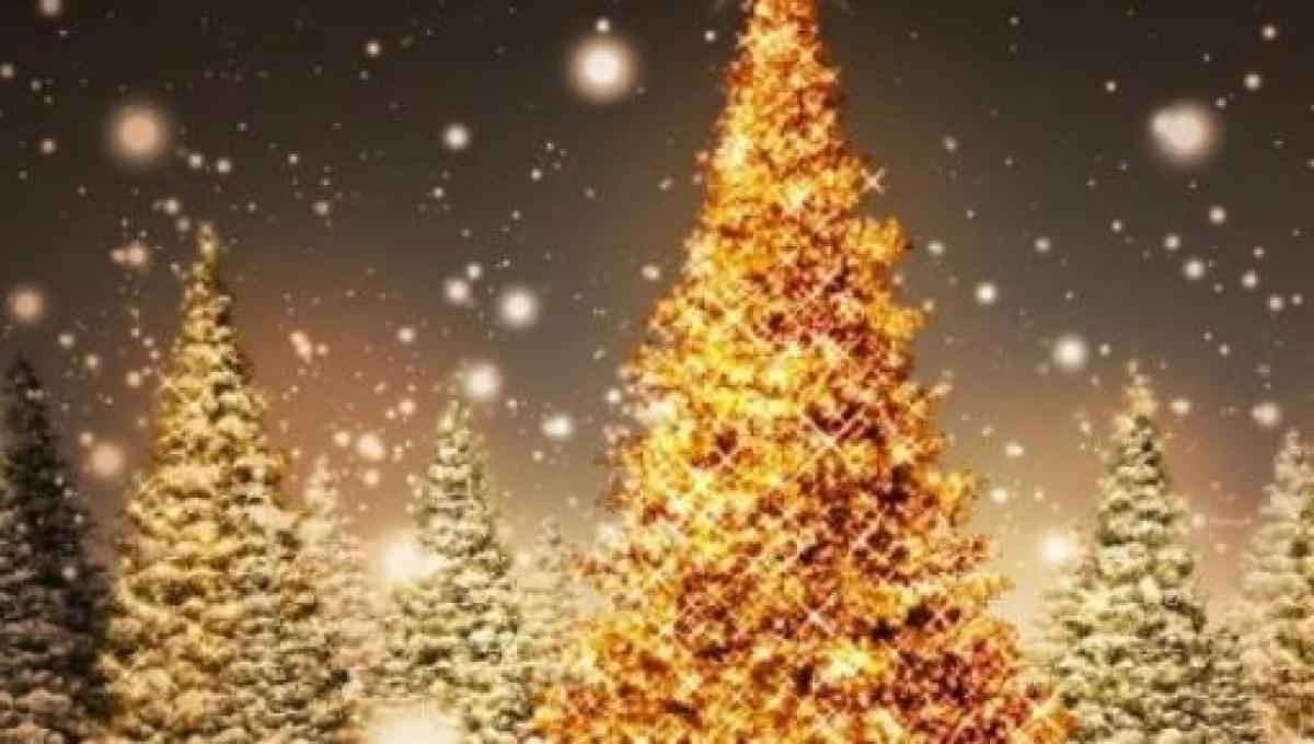 Poesie Sull Albero Di Natale Con Rime.Frasi E Auguri Di Natale 2014 Filastrocche Canzoni Rime Frasi Divertenti Per I Bambini