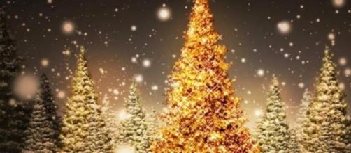 Poesie Di Natale Rima Per Bambini.Frasi E Auguri Di Natale 2014 Filastrocche Canzoni Rime Frasi Divertenti Per I Bambini