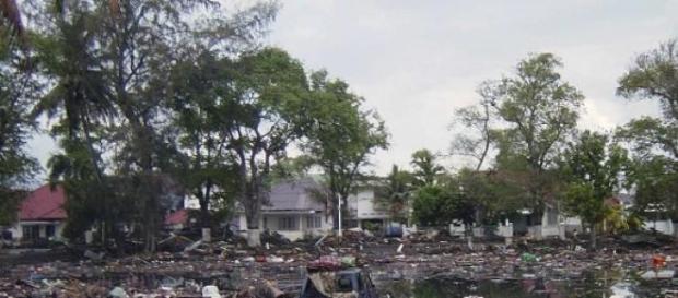 Il y a 10 ans, le tsunami détruisait tout Il y a 10 ans, le tsunami détruisait tout