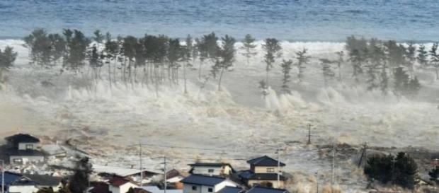 Tailândia devastada pelo tsunami Tailândia devastada pelo tsunami