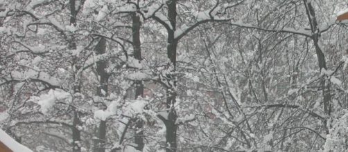 La neve imbianca il Nord - Italia.