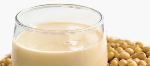 Leche de soya, ideal para bajar de peso Leche de soya, ideal para bajar de peso