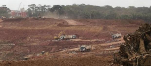 O Mundo perdeu 30% de área de floresta tropical. O Mundo perdeu 30% de área de floresta tropical.