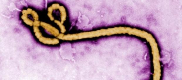 Mais de 20 mil pessoas foram infectadas pelo vírus Mais de 20 mil pessoas foram infectadas pelo vírus