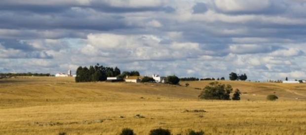 O Alentejo tem vindo a somar distinções. O Alentejo tem vindo a somar distinções.