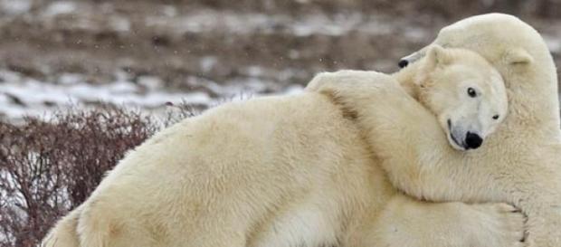 El abrazo, una de las claves de la felicidad El abrazo, una de las claves de la felicidad
