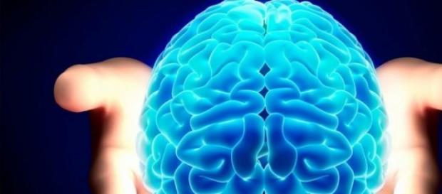 El déjà-vu, alteración de un estímulo percibido El déjà-vu, alteración de un estímulo percibido