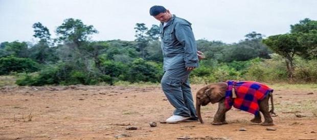 Yao Ming solidário com os animais em África. Yao Ming solidário com os animais em África.