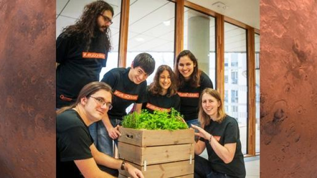 Lattuga, il primo organismo vivente su Marte