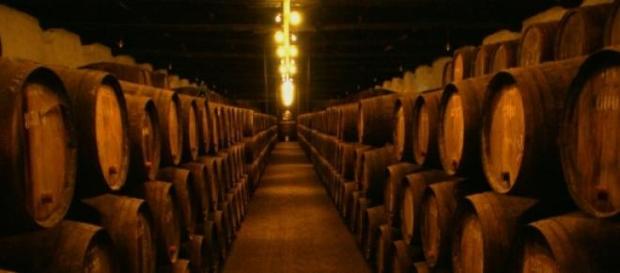 Caves do Vinho do Porto. Caves do Vinho do Porto.