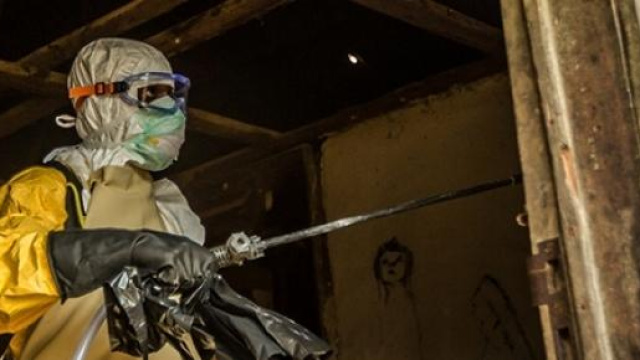 Ebola, il nuovo nemico mondiale