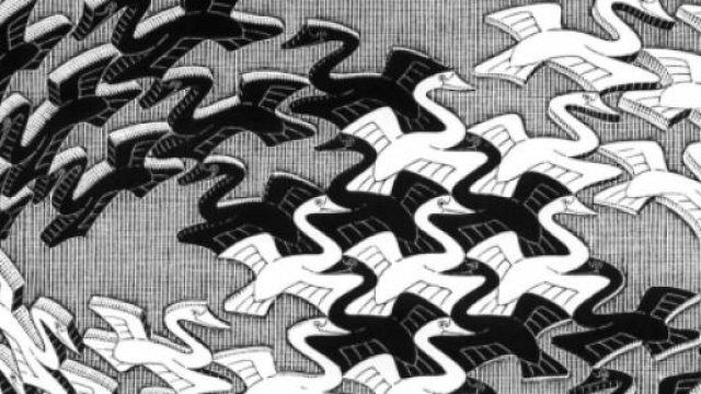 Un gruppo di cigni secondo Maurits Cornelis Escher
