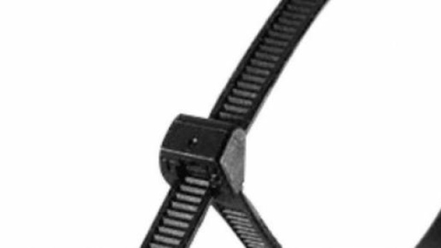 E' questa l'arma del delitto?